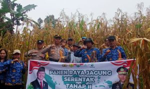 IMG-20250602-WA0031